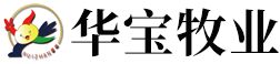 金華裝飾公司